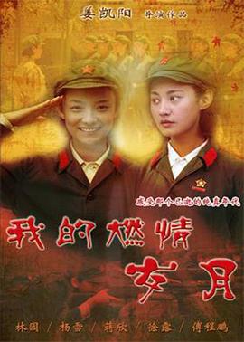 我的燃情岁月 2011 电视剧 海报