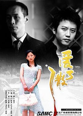 爱了散了 2006 电视剧 海报
