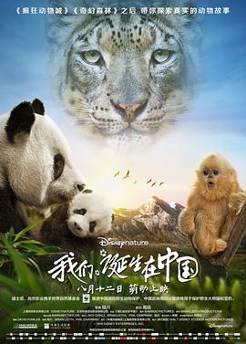 我们诞生在中国 2016 电影 海报