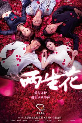 两生花 2015 电视剧 海报