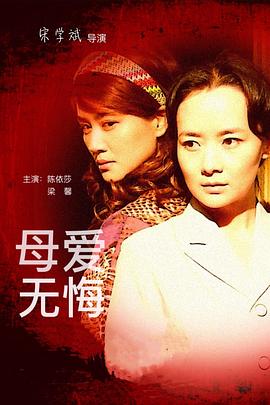 母爱无悔 2011 电视剧 海报