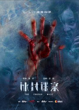 冰封迷案 2018 电影 海报