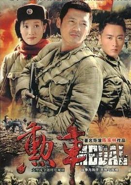 勋章 2009 电视剧 海报