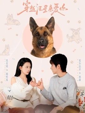穿越汪星来爱你 2026 短剧 海报