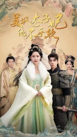 美飒太子妃绝不手软 2024 短剧 海报