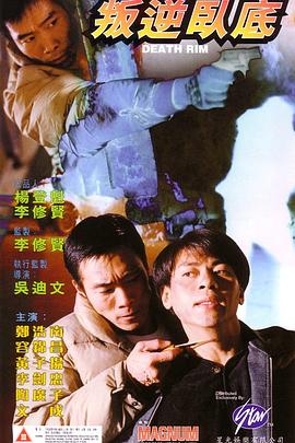 叛逆卧底 1996 电影 海报