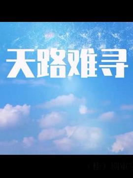 天路难寻 2017 电视剧 海报
