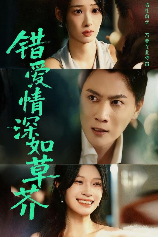 错爱情深如草芥 2025 短剧 海报