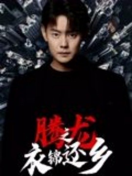 腾龙之衣锦还乡 2025 短剧 海报