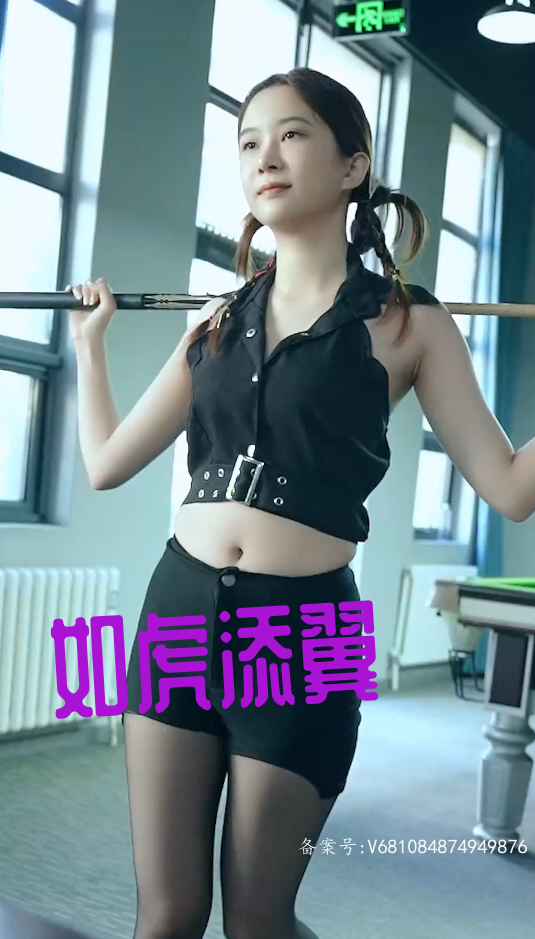 如虎添翼&紫色满塔&玉律金科 2024 短剧 海报