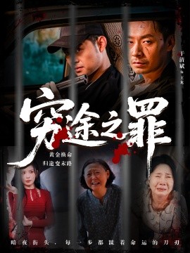 穷途之罪 短剧 海报