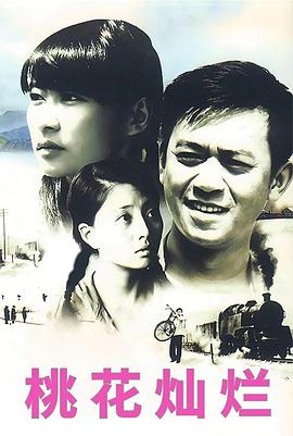 桃花灿烂 2007 电视剧 海报