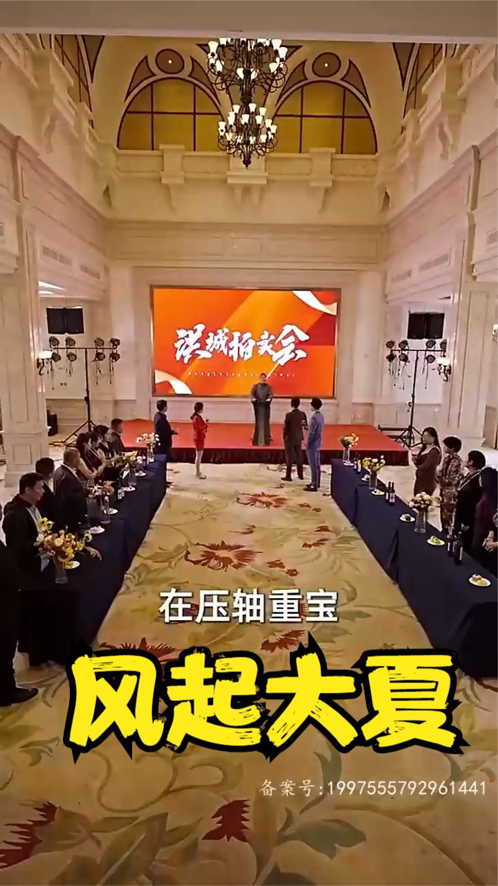 风起大夏 2023 短剧 海报