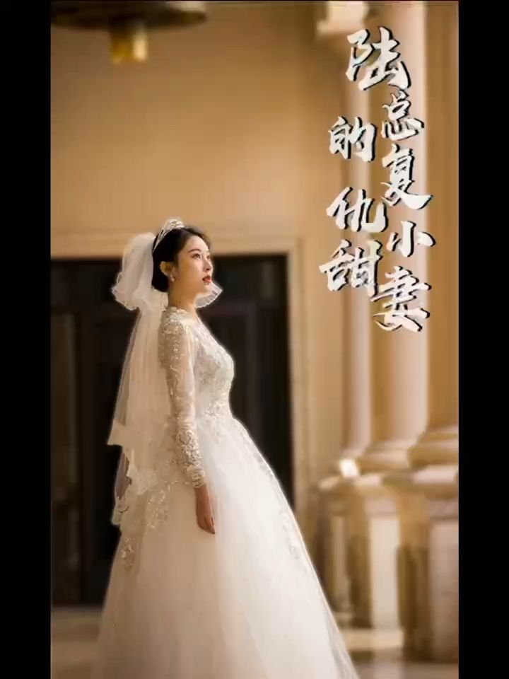 陆总的复仇小甜妻 2023 短剧 海报