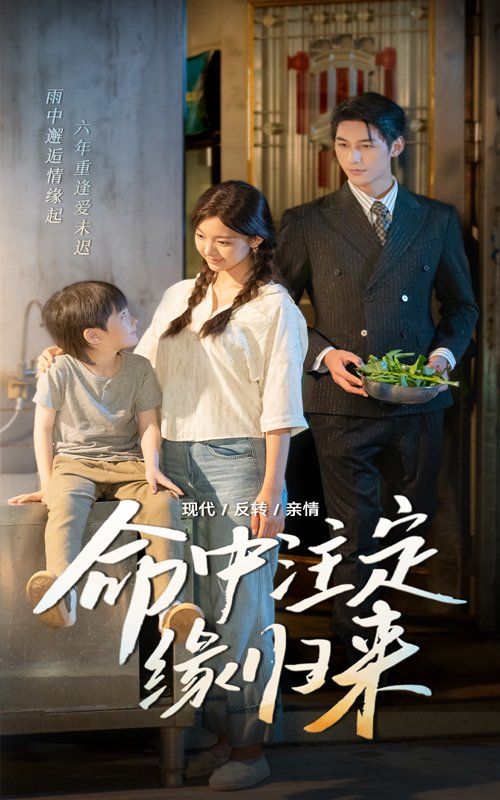 命中注定缘归来 2025 短剧 海报