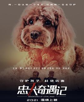 忠犬奇遇记 2021 电影 海报