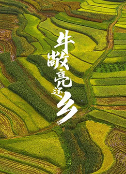 牛敞亮还乡 2010 电影 海报