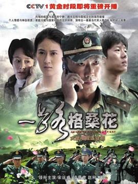 一路格桑花 2010 电视剧 海报