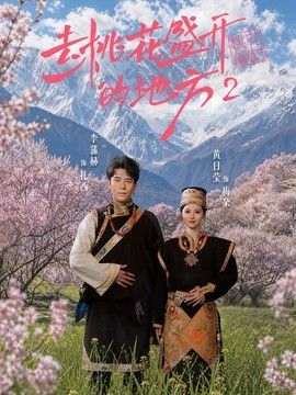 去桃花盛开的地方2 2026 短剧 海报