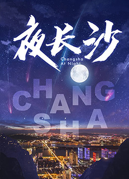 夜长沙 2020 纪录片 海报