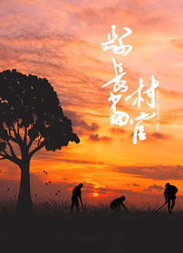 县长当村官 2016 电影 海报