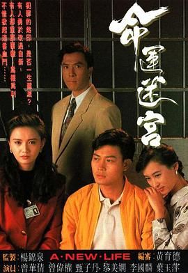 命运迷宫普通话版 1991 电视剧 海报
