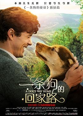 一条狗的回家路（原声版） 2019 电影 海报