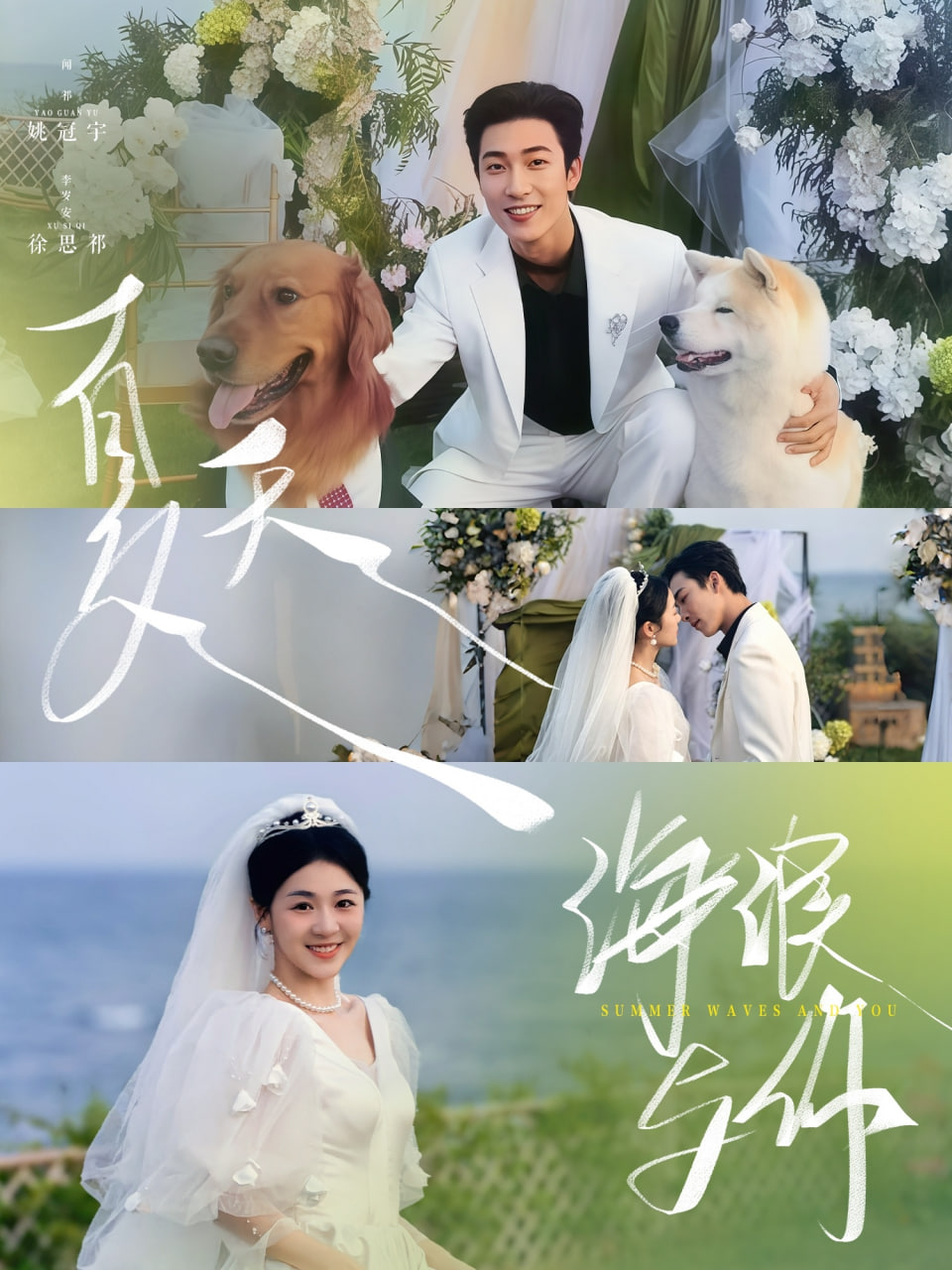 夏天，海浪与你 2025 短剧 海报