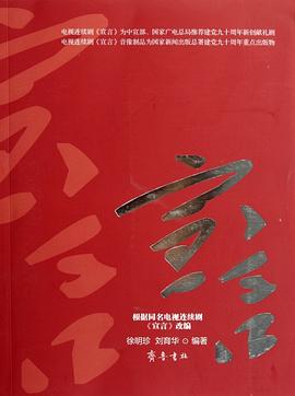 宣言 2011 电视剧 海报