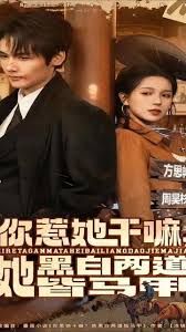 你惹她干嘛，她黑白两道皆马甲 2025 短剧 海报