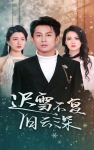 迟雪不复旧云深 2025 短剧 海报