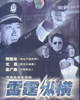 雷霆纵横 2008 电视剧 海报