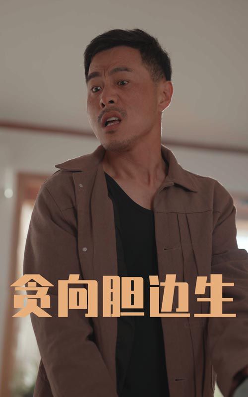 贪向胆边生 2025 短剧 海报
