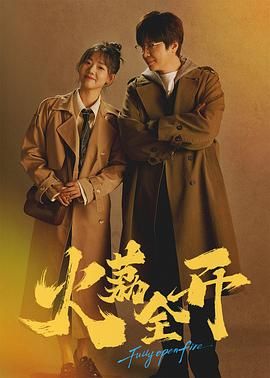 火荔全开 2025 电视剧 海报