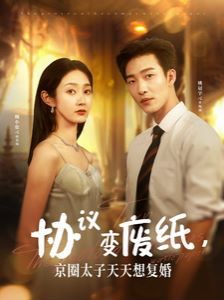 协议变废纸，京圈太子天天想复婚 2024 短剧 海报