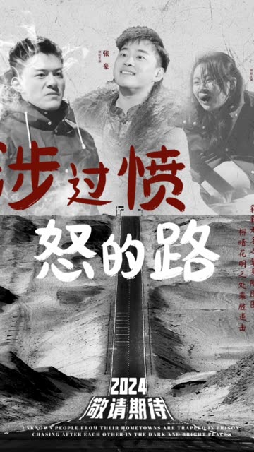 涉过愤怒的路 2024 短剧 海报