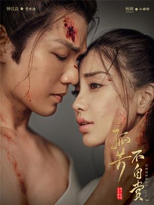 孤芳不自赏纪录片寻芳纪 2017 纪录片 海报