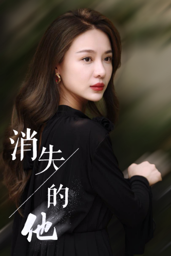 消失的他短剧 2024 短剧 海报