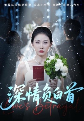 深情负白首 2025 短剧 海报