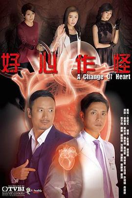 好心作怪 2013 电视剧 海报