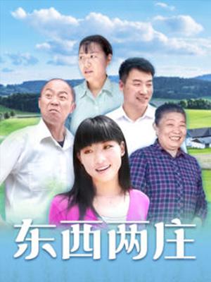 东西两庄 2014 电视剧 海报