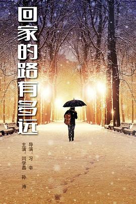 回家的路有多远 2017 电视剧 海报