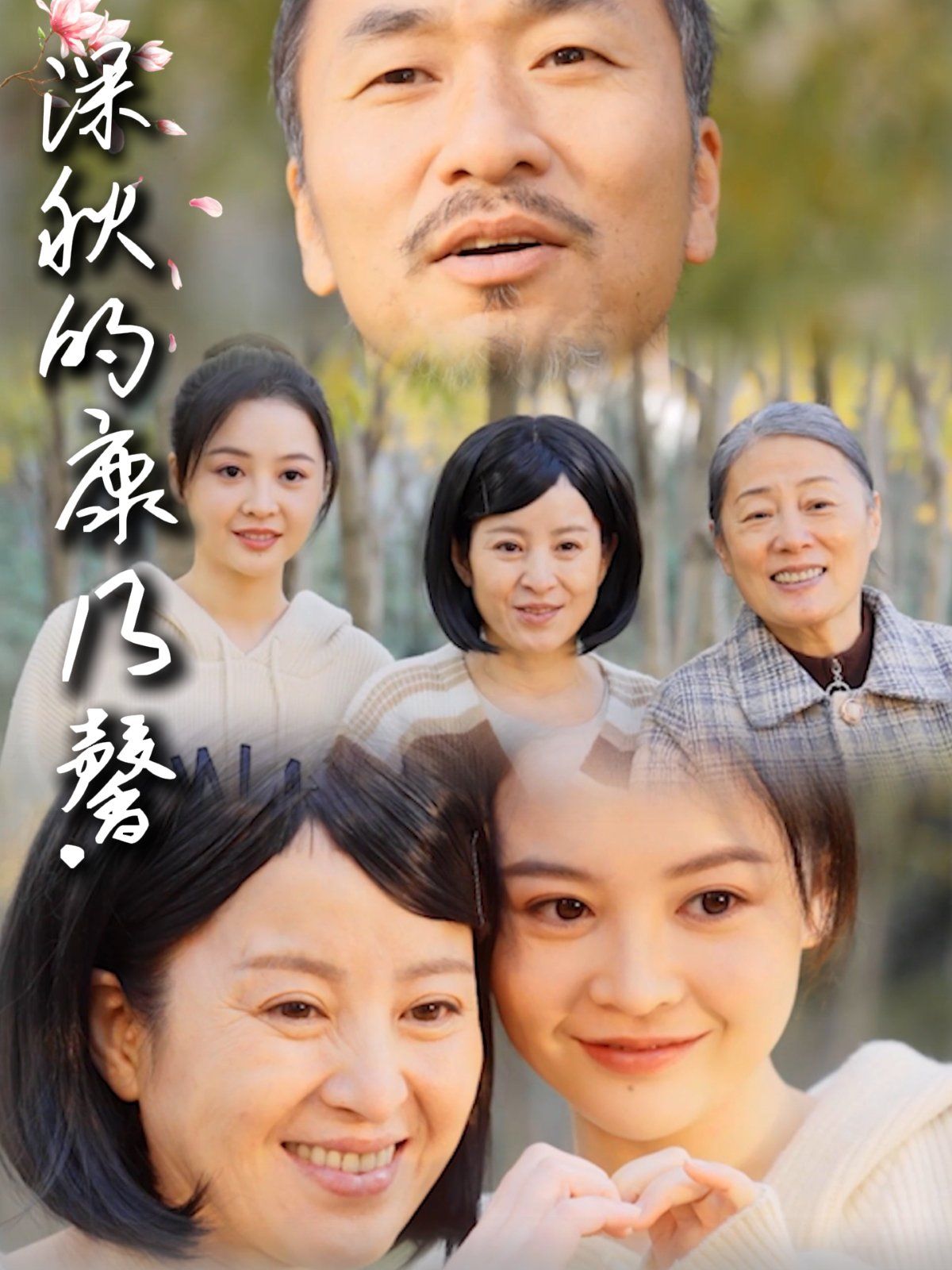 深秋的康乃馨 2025 短剧 海报