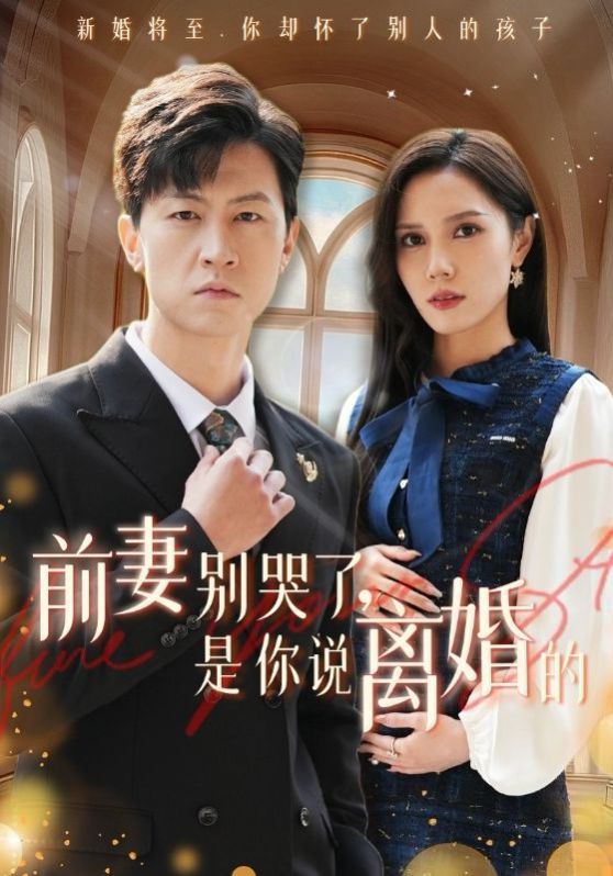 前妻别哭了是你说离婚的 2024 短剧 海报
