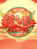 2024湖北春晚 2024 综艺 海报