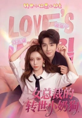 女总裁的转世小奶狗 2026 短剧 海报