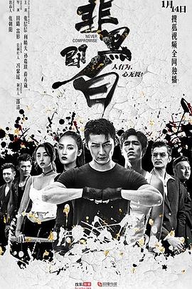 非黑即白 2020 电视剧 海报
