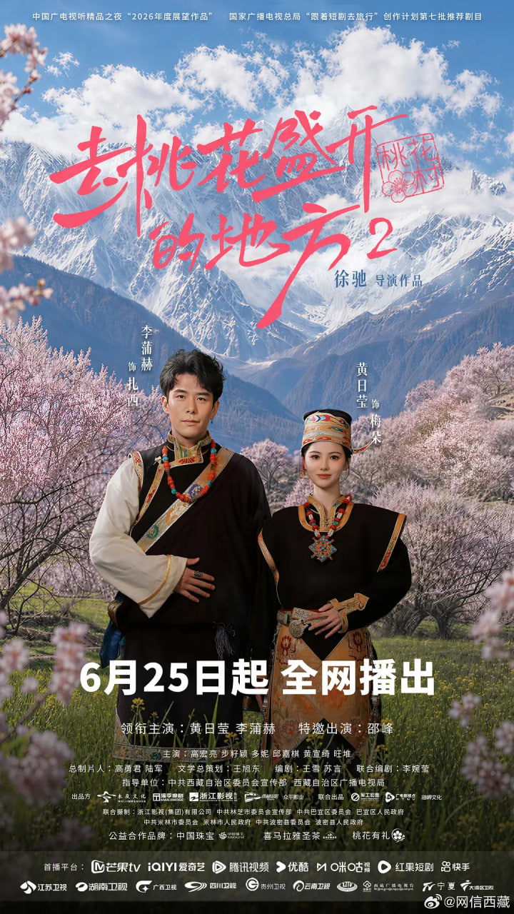 去桃花盛开的地方2 2026 电视剧 海报
