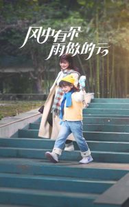 风中有朵雨做的云短剧 2025 短剧 海报