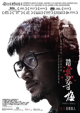 踏血寻梅 2015 电影 海报